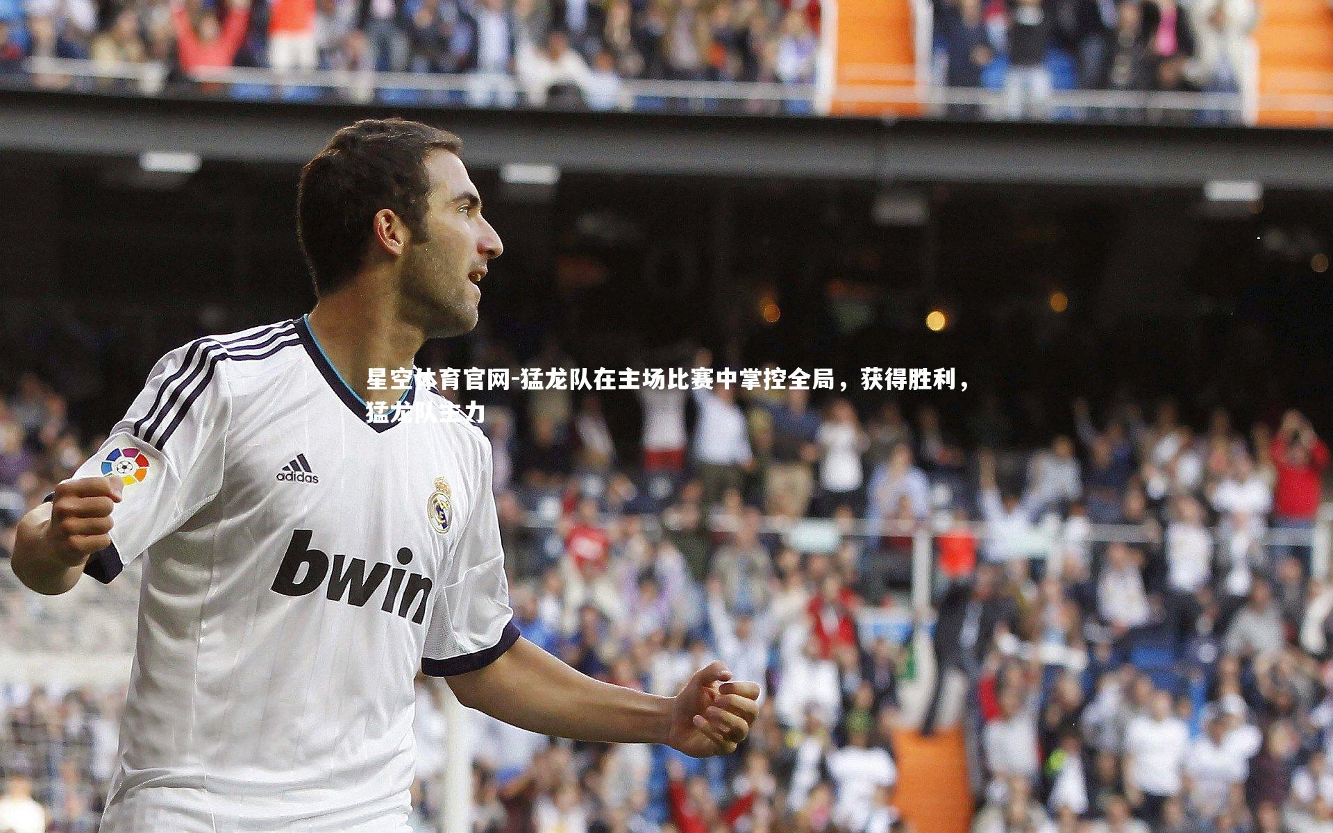 星空体育官网-猛龙队在主场比赛中掌控全局，获得胜利，猛龙队主力